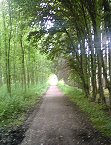 Symbolbild Weg