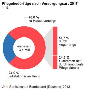 Bild Pflegebedürftige 2017 nach Versorgungsart